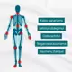 Raminantis gelis su Harpagophytum (velnio augalu ): sąnariams, lėtiniui uždegimui, osteoartritui, nugaros skausmams, raumenų įtampai 1+1